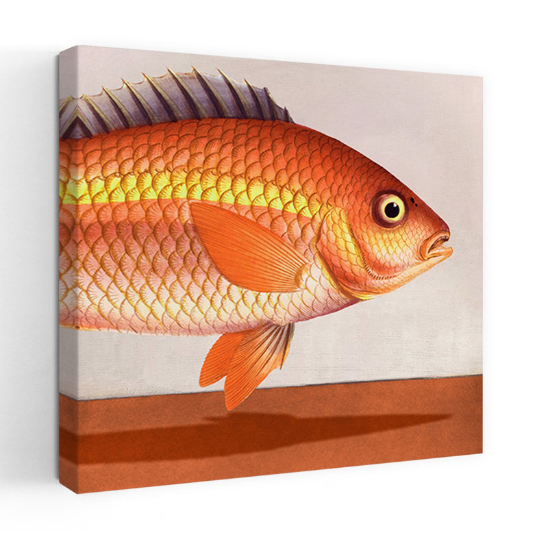 Contemporary Art Retro Vintage Fish Art, 48" H x 48" W