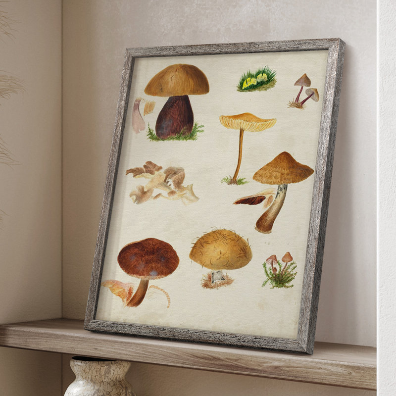 Reproduction encadrée champignon Mushroom Species II, H 11 po x l 9 po