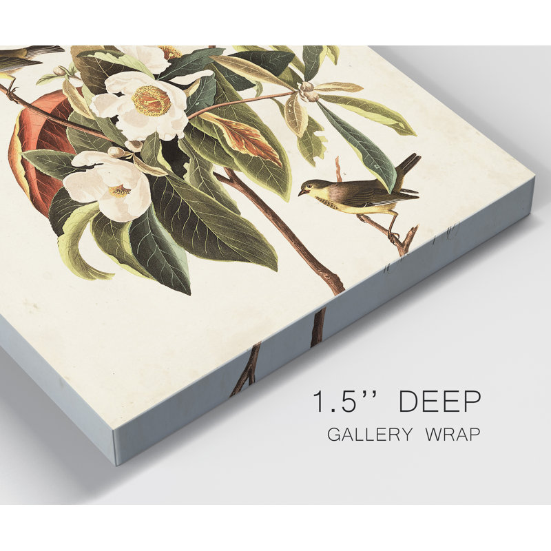 « Pl 185 Bachman’s Warbler », reproduction d’art sur toile, H 48 po x l 32 po x P 1 po