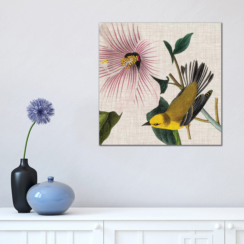 Avian Crop V by John James Audubon - Wrapped Canvas Painting, 45.72cm H x 45.72cm W x 1.91cm D