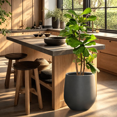 Dorlis Fiberstone Pot Planter