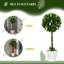 60cm Faux Flowering Topiary in Pot-1635763364