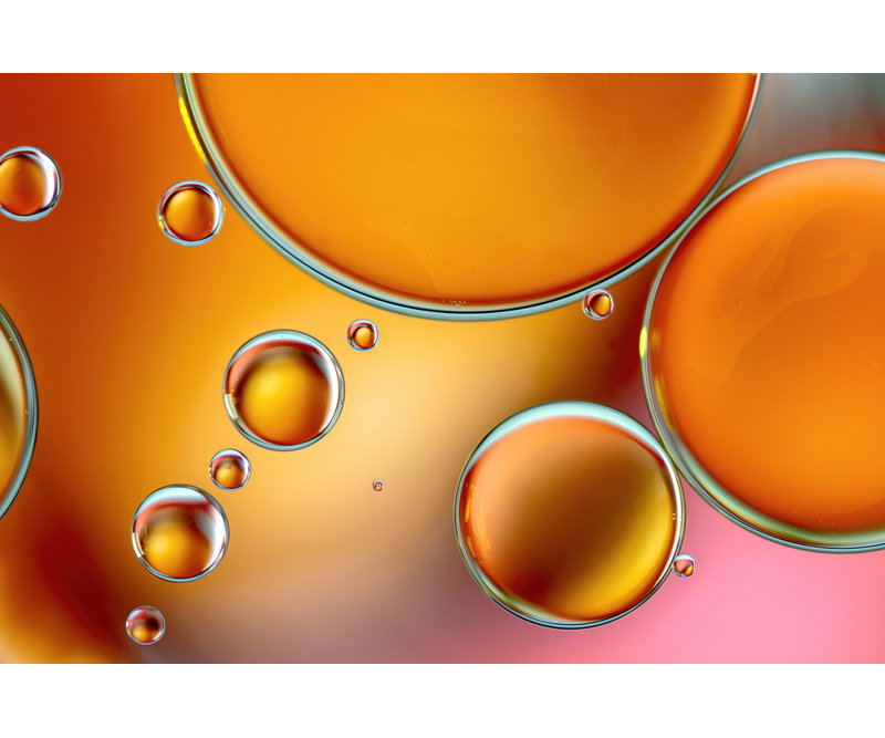 Wrapped Canvas Print, 50.8 cm H x 76.2 cm W