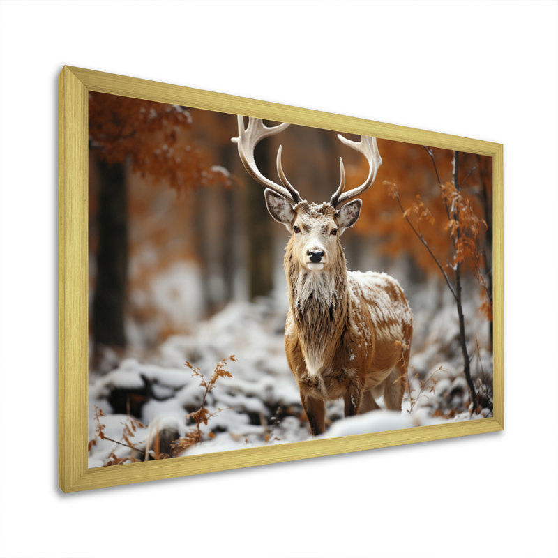 Deer Graceful Deer sur toile, H 12 po x l 20 po x P 1 po, Cadre doré à une seule photo