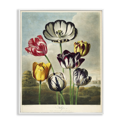 Tulipes du temple, estampe numérique, design par Print Collection
