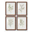 Simple Sprig I - ensemble de 4 reproductions de cadres photo-2075732646-2075732644