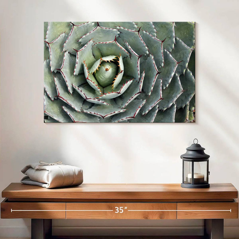 Harnek Thorny Succulent