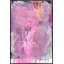 Inner Space Print by David Erickson-496830729