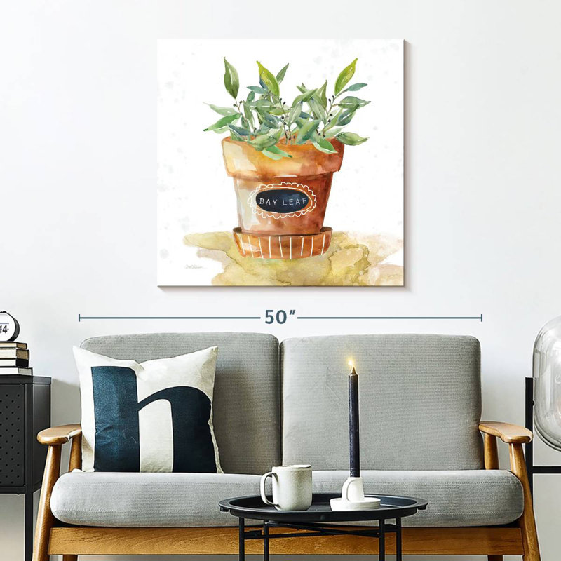 Harnek Potted Bay Leaf, 30" H x 30" W