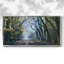 Forêt d'acacia - Toile tendue avec châssis, prête à accrocher-2001429317-2001429321