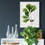 Chêne blanc - impression sur toile tendue-31389809
