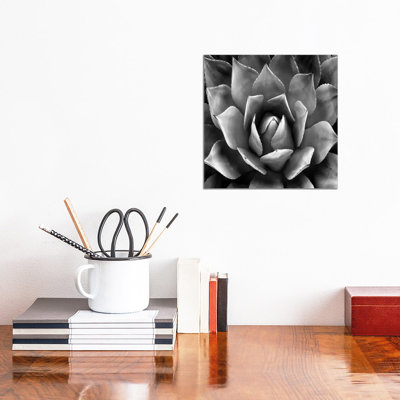 Black and White Succulent II 1 Piece Wrapped Canvas Wall Art