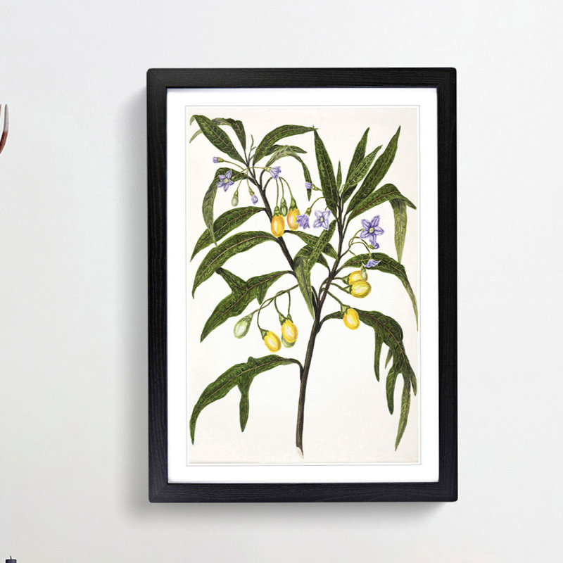 Poroporo Flowers by Sarah Featon - Picture Frame Painting Print, 65cm H x 48cm W x 2cm D, Black Framed