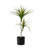 28'' Faux Yucca Tree in Pot