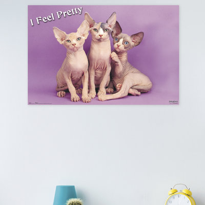 Impression sur papier pretty kitty