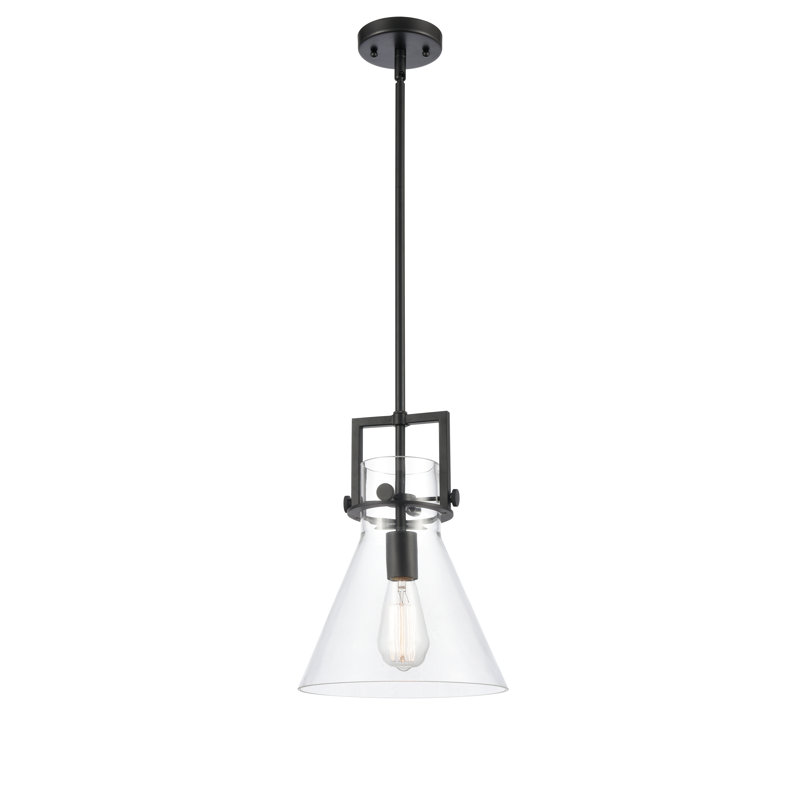Luminaire suspendu avec tige 30 po Coterie, Transparent, Noir mat, H 13,63 po x l 10 po x P 10 po