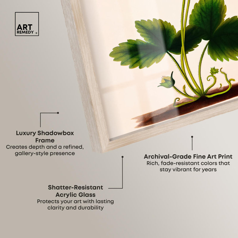 «Strawberry Kitchen Art Shadowbox» par Art Remedy, H 21 po x l 17 po, Crème