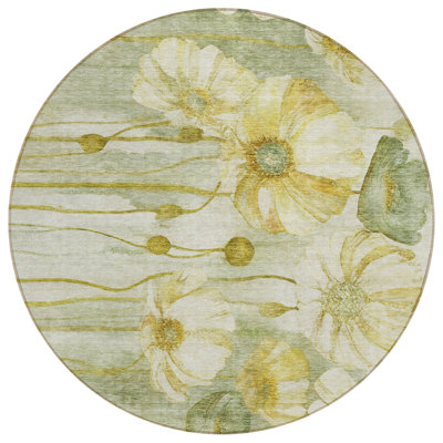  Emblyn Area Rug