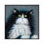 Juniper par Kim Haskins-reproduction d’art-53976704-53976706-53976713