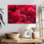 Harnek dahlia en fleurs-108913683