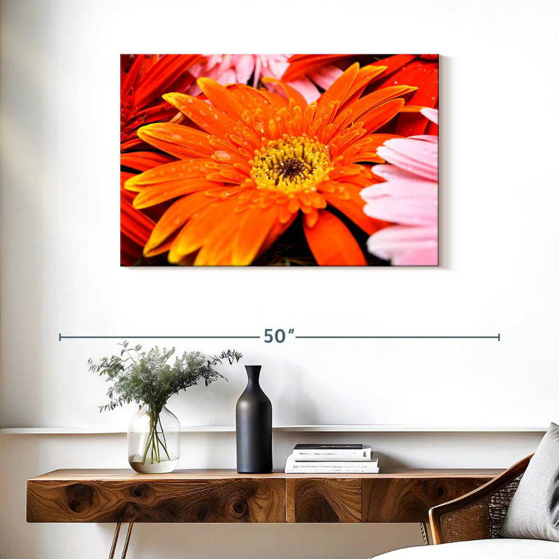 Dewy Orange Daisy, 24" H x 36" W