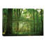 Lars Van De Goor - Wrapped Canvas Print-101415978-101415979