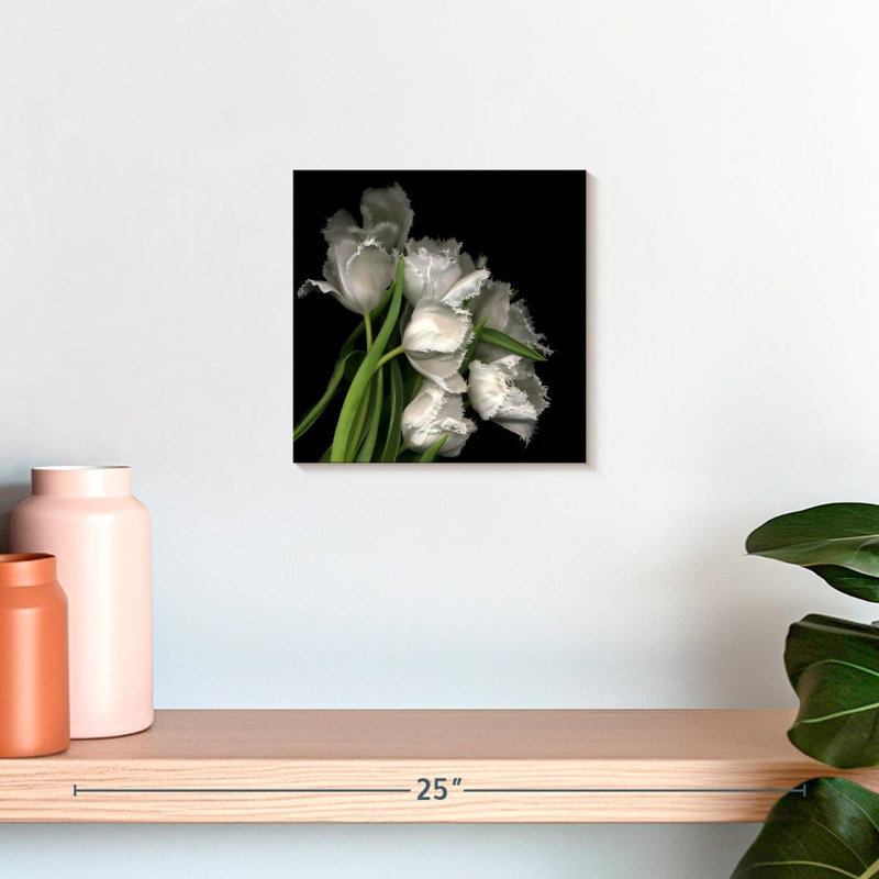 Tulipes Harnek, H 10 po x l 10 po