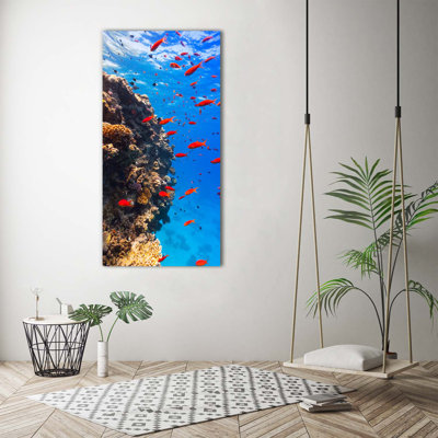 Coral Reef - Wrapped Canvas Print