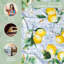 Serviettes 100 % coton Maison d'Hermine Agrumes - 20 po x 20 po