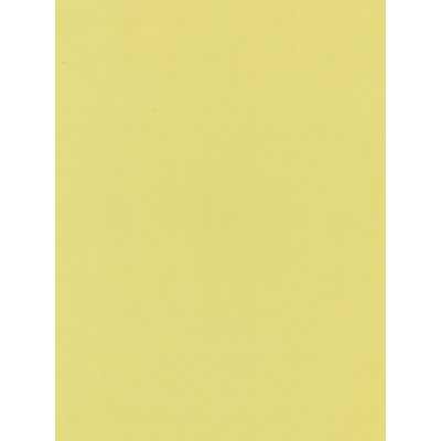 TAFFETA OLYMPIA SOIE