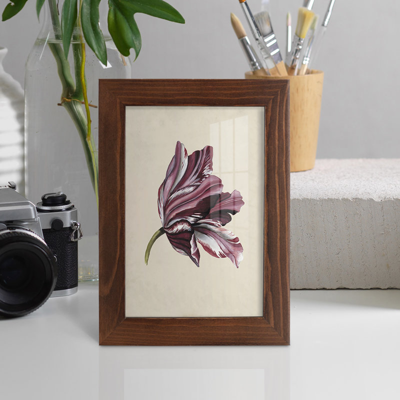 Antique Tulip Study III - Impression encadrée avec verre, H 9 po x l 7 po x P 1 po, Châtaigne