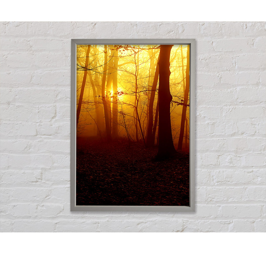 Golden Forest At First Light - Einzelner Bilderrahmen Kunstdrucke auf Leinwand