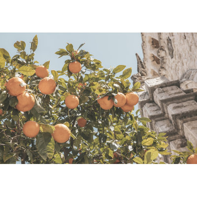"Liuba, îles Espagnoles, oranges sur toile" par Nathan Larson, reproduction