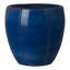 CREST PLANT, NEIGE-1178832785-1178832814