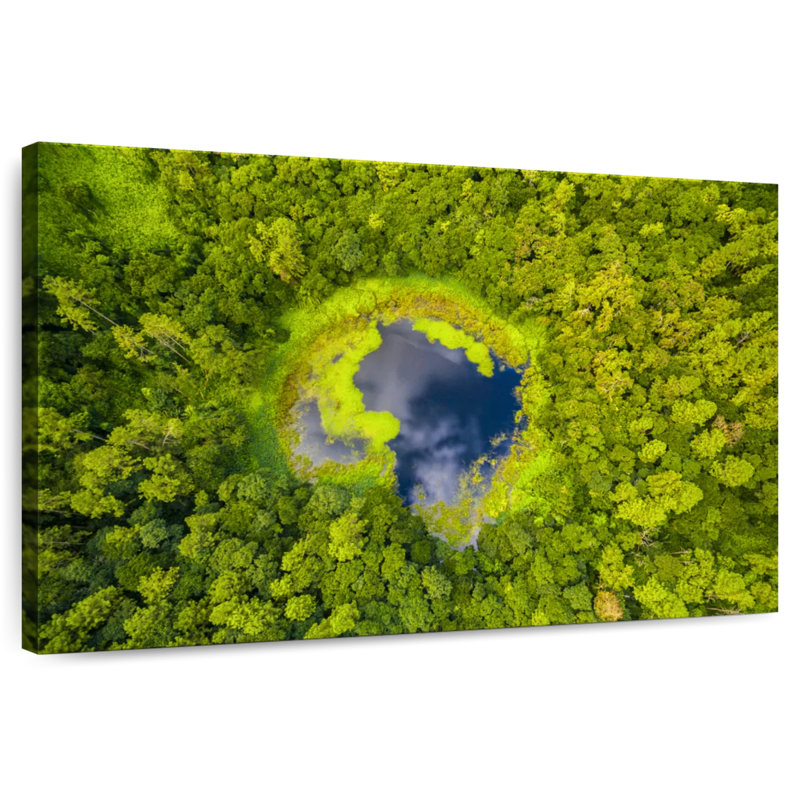 Jungle tropicale d'Alvord, île Maurice, H 8 po x l 12 po