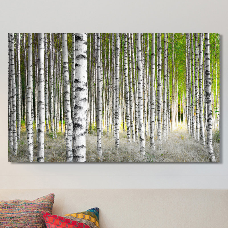 Birch Trees 1 - Wrapped Canvas Print, 18" H x 30" W x 1" D