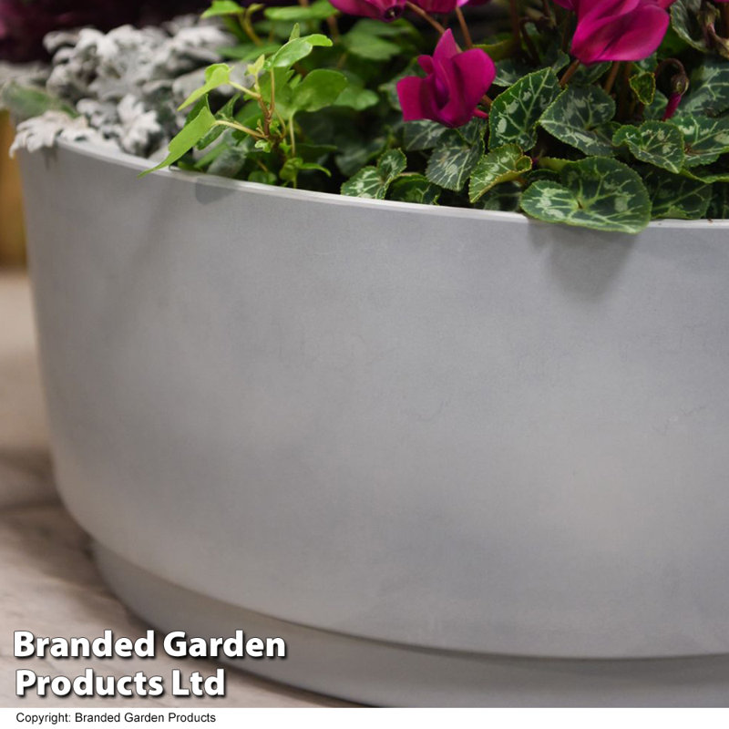 Phelecia Planter - Twin Pack
