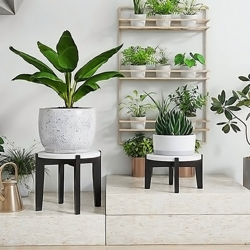 Plant Stand, 12.5cm H x 22cm W x 22cm D