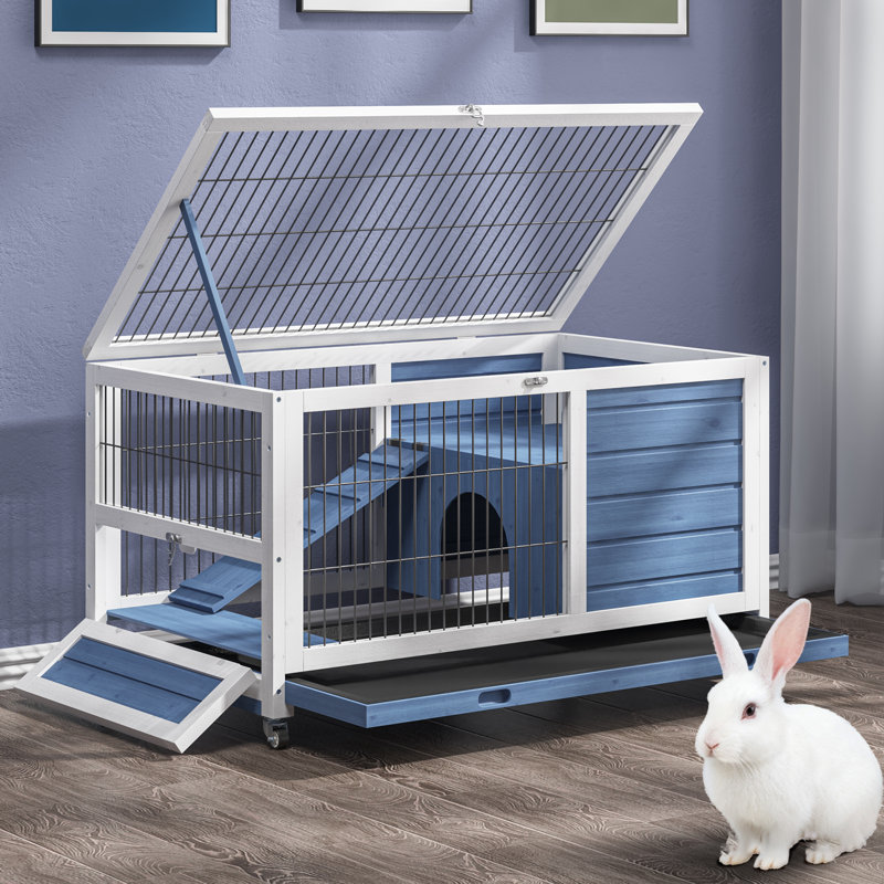 Cage à lapin mobile en bois massif avec rampe et plateau coulissant bleu, Blanc / Bleu
