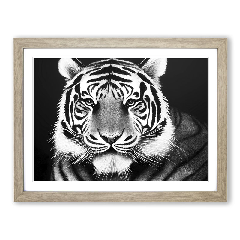 Monochrome Tiger Vol.5 - Framed Print, 46cm H x 64cm W x 2cm D, Oak Framed