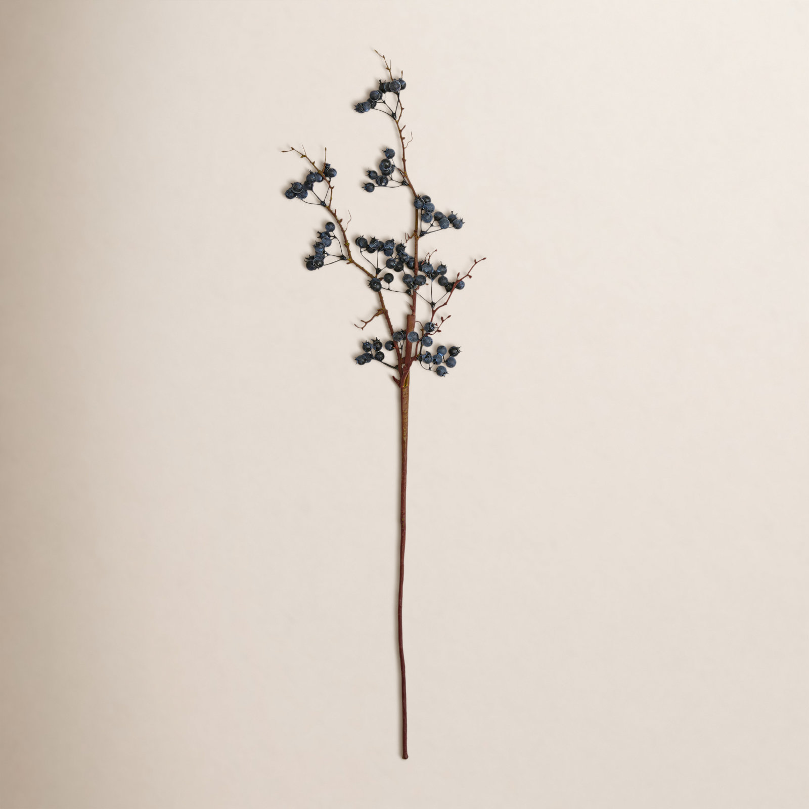 Blueberry Floral Stems