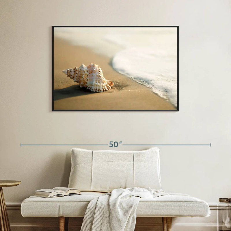 Coquillage sur la plage, Cadre flottant noir, 40 po x 27 po