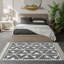 Catalan Aster Black-1247902223