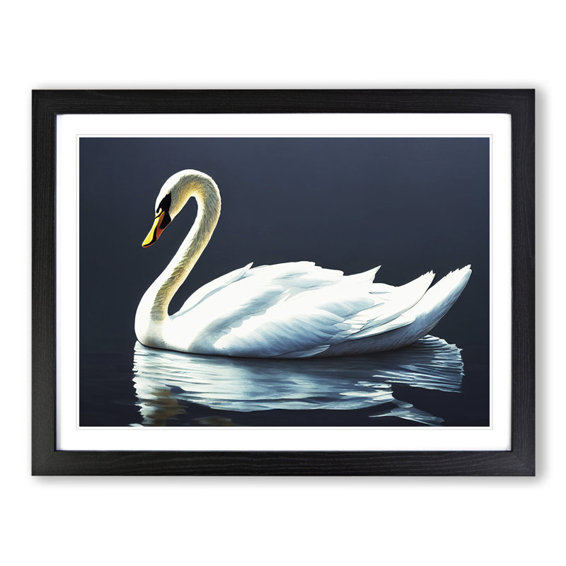 Astounding Swan - Single Picture Frame Print, Black, 46cm H x 64cm W