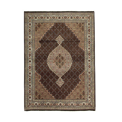 Oriental Indoor Rug