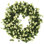 Hop Wreath