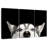 Brampt Peeking Siberian Husky-106308241