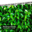 Rideau de douche avec 12 crochets Nature-1632146147