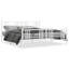 Novarayne Metal Bed-1646734483-1646734574