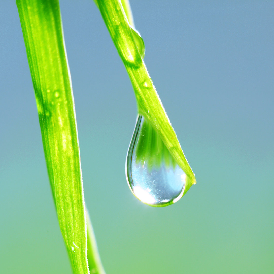 Großer Wassertropfen von Ivanmikhaylov - Gewickelte Leinwand Fotografie